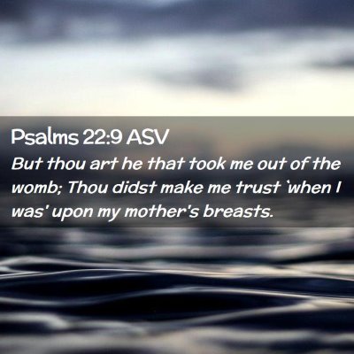Picture 02 - Psalms 22:9 ASV - But thou art he that took me out of the womb; - Bible Verse Picture