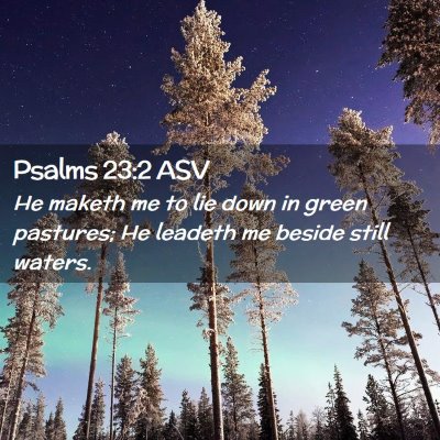 Picture 02 - Psalms 23:2 ASV - He maketh me to lie down in green pastures; He - Bible Verse Picture