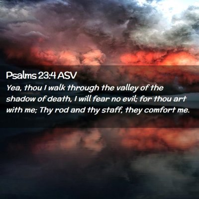 Picture 02 - Psalms 23:4 ASV - Yea, thou I walk through the valley of the shadow - Bible Verse Picture