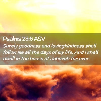 Picture 02 - Psalms 23:6 ASV - Surely goodness and lovingkindness shall follow - Bible Verse Picture
