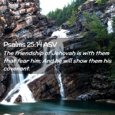 Picture 02 - Psalms 25:14 ASV - The friendship of Jehovah is with them that fear - Bible Verse Picture
