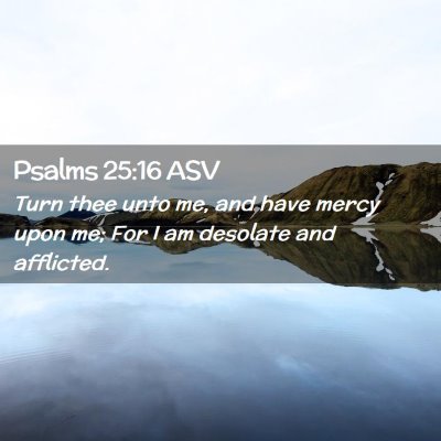 Picture 02 - Psalms 25:16 ASV - Turn thee unto me, and have mercy upon me; For I - Bible Verse Picture