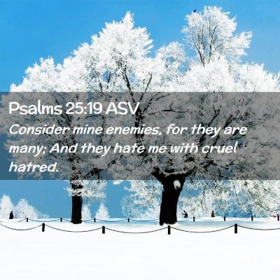Picture 02 - Psalms 25:19 ASV - Consider mine enemies, for they are many; And - Bible Verse Picture