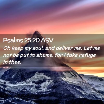 Picture 02 - Psalms 25:20 ASV - Oh keep my soul, and deliver me: Let me not be - Bible Verse Picture