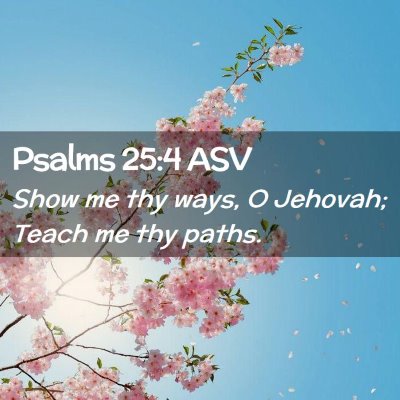 Picture 02 - Psalms 25:4 ASV - Show me thy ways, O Jehovah; Teach me thy - Bible Verse Picture