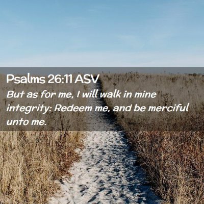 Picture 02 - Psalms 26:11 ASV - But as for me, I will walk in mine integrity: - Bible Verse Picture