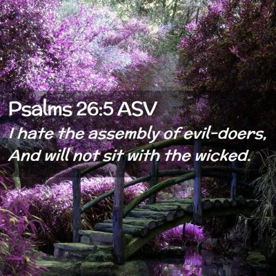 Picture 02 - Psalms 26:5 ASV - I hate the assembly of evil-doers, And will not - Bible Verse Picture