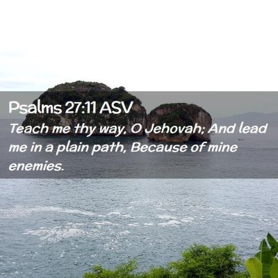 Picture 02 - Psalms 27:11 ASV - Teach me thy way, O Jehovah; And lead me in a - Bible Verse Picture
