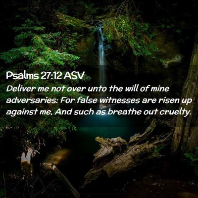 Picture 02 - Psalms 27:12 ASV - Deliver me not over unto the will of mine - Bible Verse Picture