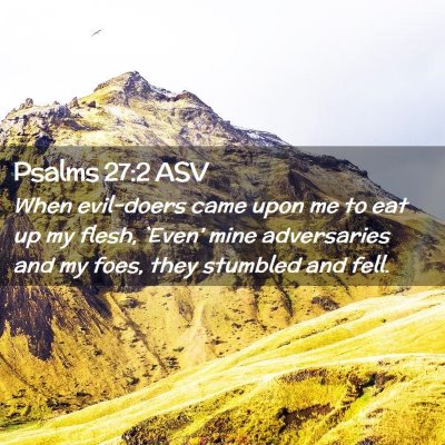 Picture 02 - Psalms 27:2 ASV - When evil-doers came upon me to eat up my flesh, - Bible Verse Picture