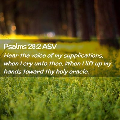 Picture 02 - Psalms 28:2 ASV - Hear the voice of my supplications, when I cry - Bible Verse Picture