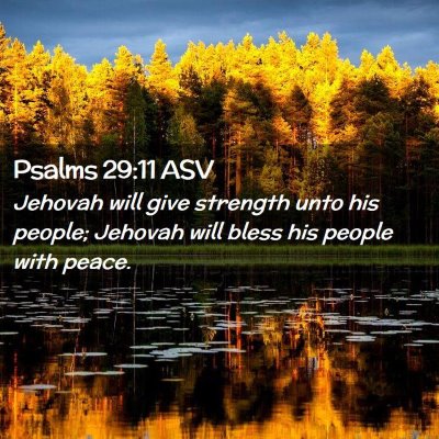 Picture 02 - Psalms 29:11 ASV - Jehovah will give strength unto his people; - Bible Verse Picture