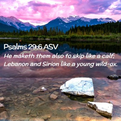 Picture 02 - Psalms 29:6 ASV - He maketh them also to skip like a calf; Lebanon - Bible Verse Picture