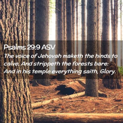 Picture 02 - Psalms 29:9 ASV - The voice of Jehovah maketh the hinds to calve, - Bible Verse Picture