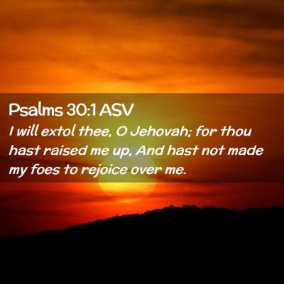Picture 02 - Psalms 30:1 ASV - I will extol thee, O Jehovah; for thou hast - Bible Verse Picture