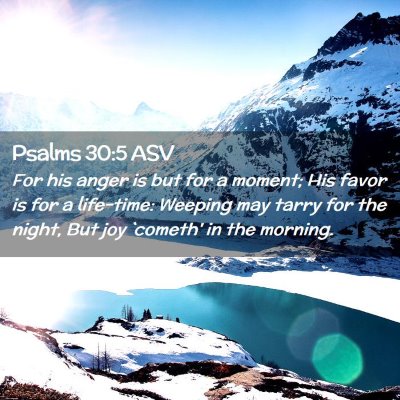 Picture 02 - Psalms 30:5 ASV - For his anger is but for a moment; His favor is - Bible Verse Picture