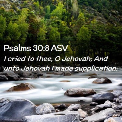 Picture 02 - Psalms 30:8 ASV - I cried to thee, O Jehovah; And unto Jehovah I - Bible Verse Picture