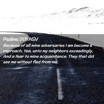 Picture 02 - Psalms 31:11 ASV - Because of all mine adversaries I am become a - Bible Verse Picture