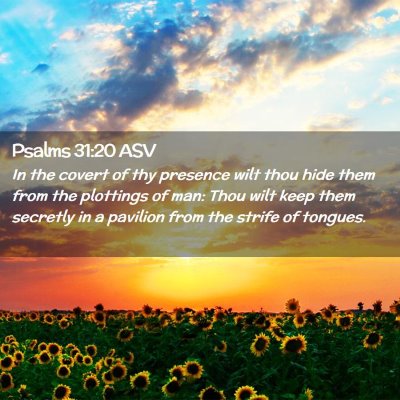 Picture 02 - Psalms 31:20 ASV - In the covert of thy presence wilt thou hide them - Bible Verse Picture