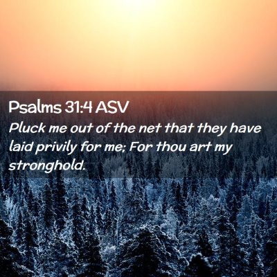 Picture 02 - Psalms 31:4 ASV - Pluck me out of the net that they have laid - Bible Verse Picture