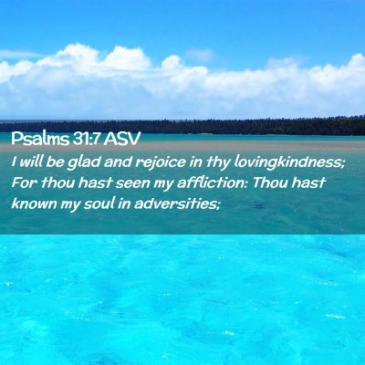 Picture 02 - Psalms 31:7 ASV - I will be glad and rejoice in thy lovingkindness; - Bible Verse Picture