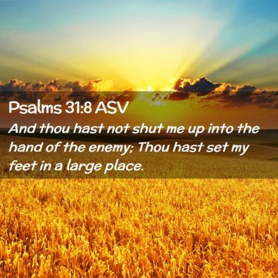 Picture 02 - Psalms 31:8 ASV - And thou hast not shut me up into the hand of the - Bible Verse Picture