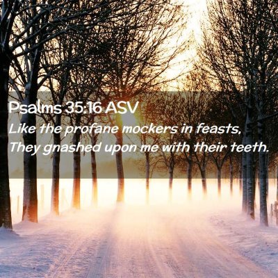 Picture 02 - Psalms 35:16 ASV - Like the profane mockers in feasts, They gnashed - Bible Verse Picture