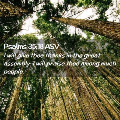 Picture 02 - Psalms 35:18 ASV - I will give thee thanks in the great assembly: I - Bible Verse Picture