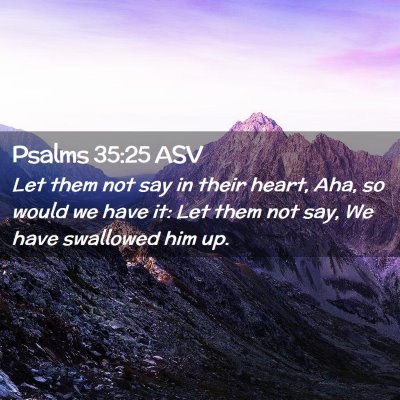 Picture 02 - Psalms 35:25 ASV - Let them not say in their heart, Aha, so would we - Bible Verse Picture