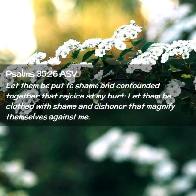 Picture 02 - Psalms 35:26 ASV - Let them be put to shame and confounded together - Bible Verse Picture