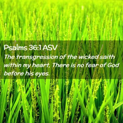 Picture 02 - Psalms 36:1 ASV - The transgression of the wicked saith within my - Bible Verse Picture