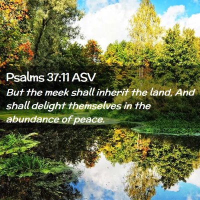 Picture 02 - Psalms 37:11 ASV - But the meek shall inherit the land, And shall - Bible Verse Picture