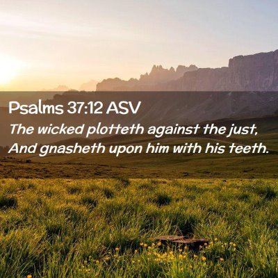 Picture 02 - Psalms 37:12 ASV - The wicked plotteth against the just, And - Bible Verse Picture