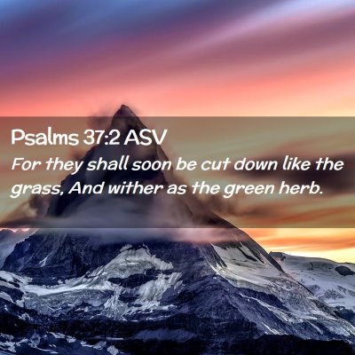 Picture 02 - Psalms 37:2 ASV - For they shall soon be cut down like the grass, - Bible Verse Picture