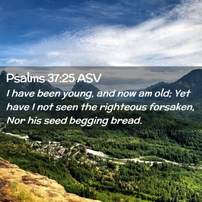 Picture 02 - Psalms 37:25 ASV - I have been young, and now am old; Yet have I not - Bible Verse Picture