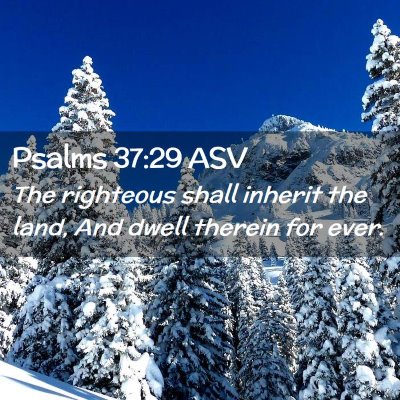 Picture 02 - Psalms 37:29 ASV - The righteous shall inherit the land, And dwell - Bible Verse Picture