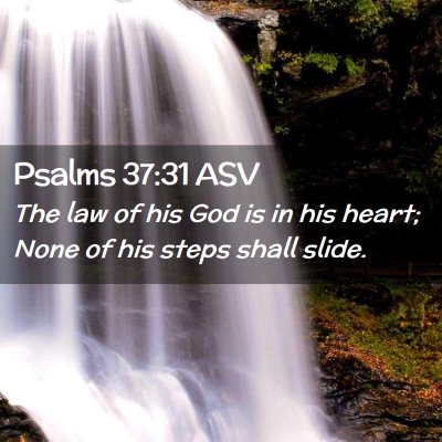Picture 02 - Psalms 37:31 ASV - The law of his God is in his heart; None of his - Bible Verse Picture