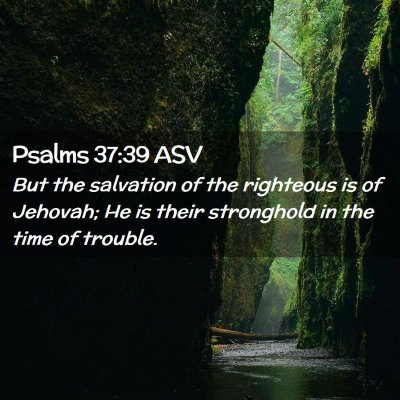Picture 02 - Psalms 37:39 ASV - But the salvation of the righteous is of Jehovah; - Bible Verse Picture