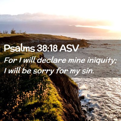 Picture 02 - Psalms 38:18 ASV - For I will declare mine iniquity; I will be sorry - Bible Verse Picture