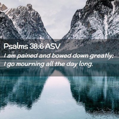 Picture 02 - Psalms 38:6 ASV - I am pained and bowed down greatly; I go mourning - Bible Verse Picture