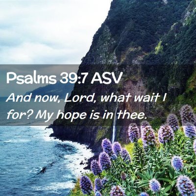 Picture 02 - Psalms 39:7 ASV - And now, Lord, what wait I for? My hope is in - Bible Verse Picture