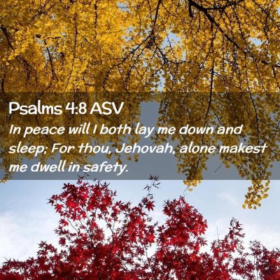 Picture 02 - Psalms 4:8 ASV - In peace will I both lay me down and sleep; For - Bible Verse Picture