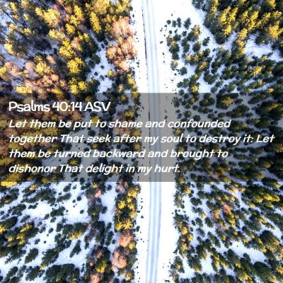 Picture 02 - Psalms 40:14 ASV - Let them be put to shame and confounded together - Bible Verse Picture