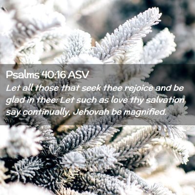 Picture 02 - Psalms 40:16 ASV - Let all those that seek thee rejoice and be glad - Bible Verse Picture