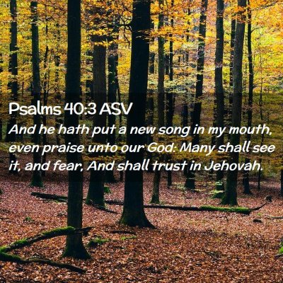 Picture 02 - Psalms 40:3 ASV - And he hath put a new song in my mouth, even - Bible Verse Picture