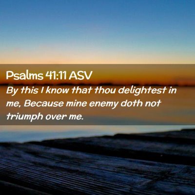 Picture 02 - Psalms 41:11 ASV - By this I know that thou delightest in me, - Bible Verse Picture