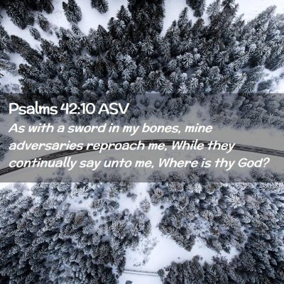 Picture 02 - Psalms 42:10 ASV - As with a sword in my bones, mine adversaries - Bible Verse Picture