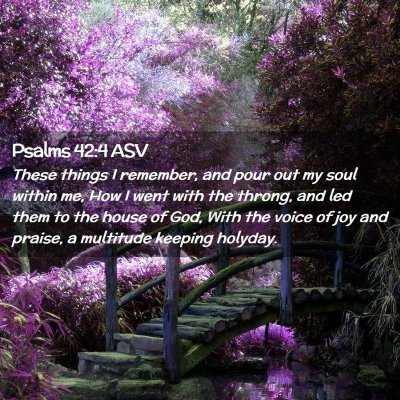 Picture 02 - Psalms 42:4 ASV - These things I remember, and pour out my soul - Bible Verse Picture