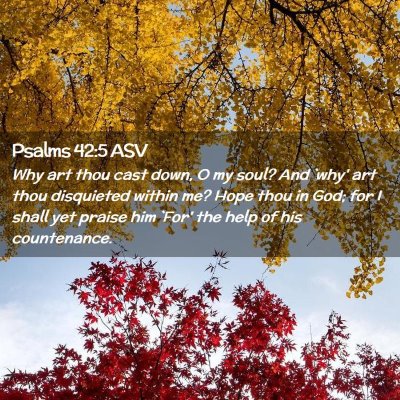 Picture 02 - Psalms 42:5 ASV - Why art thou cast down, O my soul? And `why' art - Bible Verse Picture