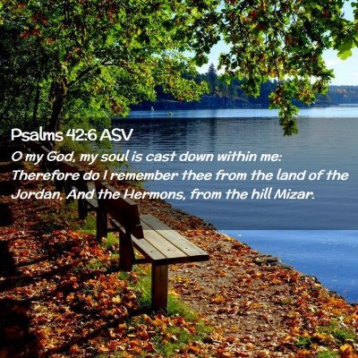 Picture 02 - Psalms 42:6 ASV - O my God, my soul is cast down within me: - Bible Verse Picture